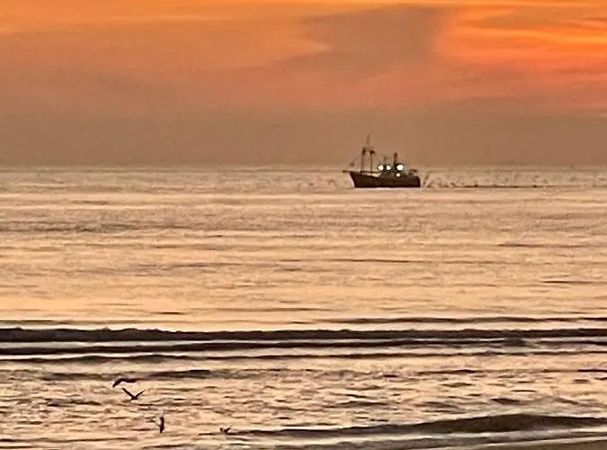 Comfortable Гостевой дом *