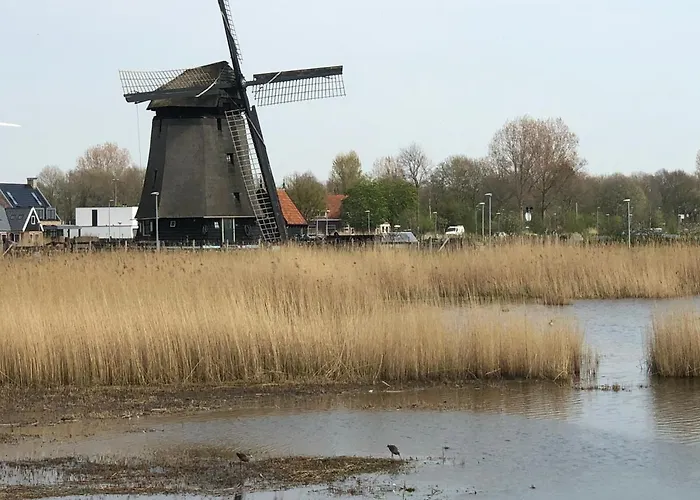 Гостевой дом Comfortable